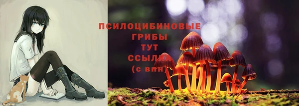 шишки Осташков