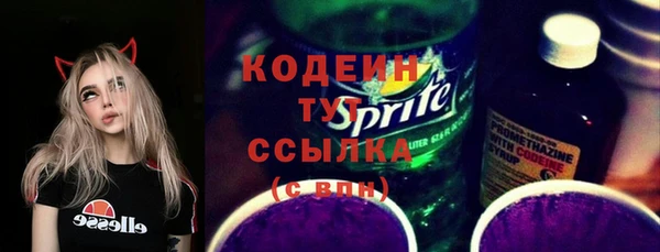индика Пересвет