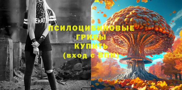 индика Пересвет