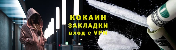 индика Пересвет