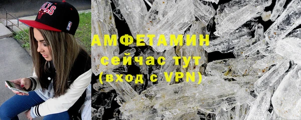шишки Осташков