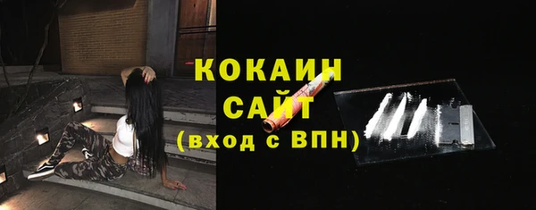 apvp Пестово