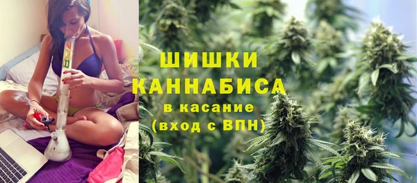 шишки Осташков