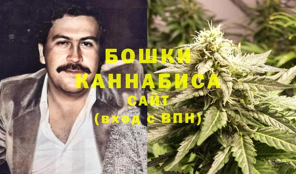 индика Пересвет