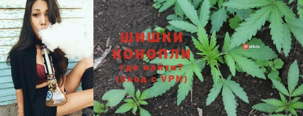 apvp Пестово