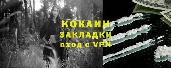 apvp Пестово