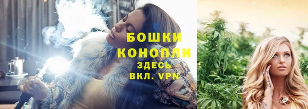 первитин Осинники