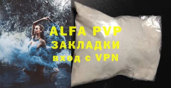 шишки Осташков