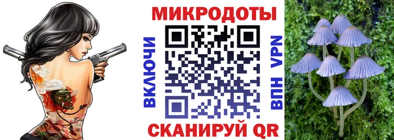 Псилоцибиновые грибы мицелий  блэк спрут ссылки  Тавда 