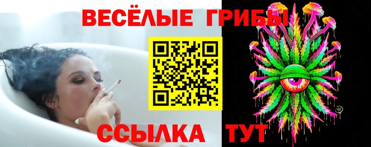Псилоцибиновые грибы мицелий Тавда